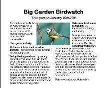Big Garden Birdwatch